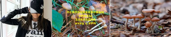 ALPHA-PVP Верея