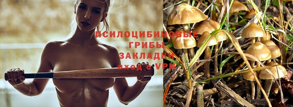 ALPHA-PVP Верея